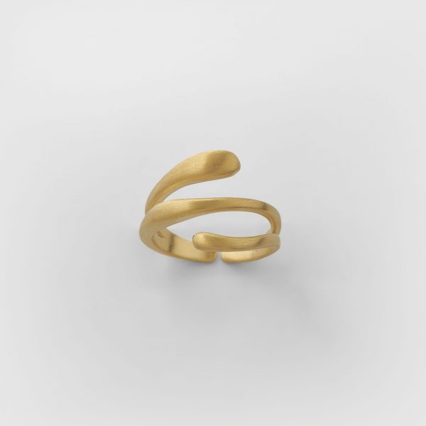 Gold Matte Celestial Ring by Xoutou's